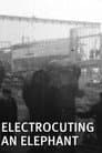 Electrocuting an Elephant