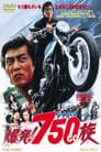 爆発！７５０ｃｃ族