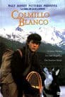 Colmillo blanco