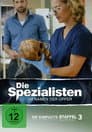 Temporada 3