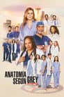 Anatomía según Grey