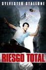 Riesgo Total